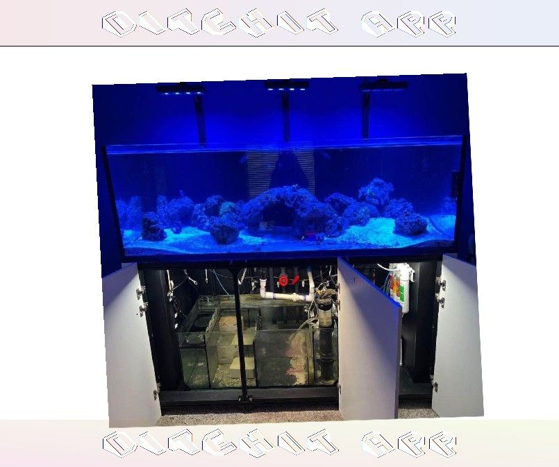 chair claim Large Aquarium Tank - Roomy & Beautiful