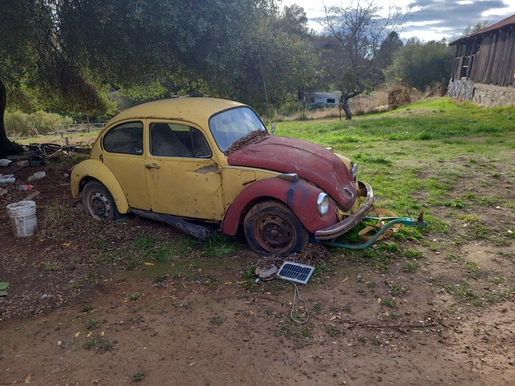 1973 Volkswagen 1600