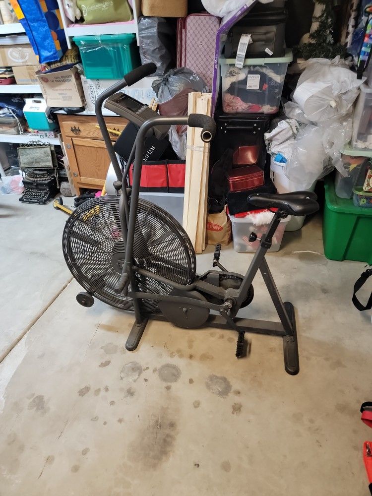 Schwinn Vintage Airdyne Bike
