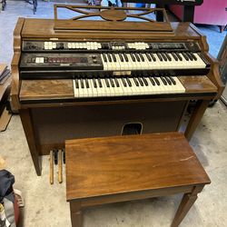 Organ (has issue)