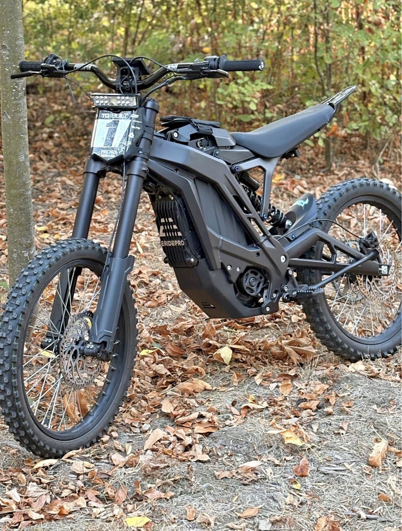 I Buy Your Surron/talraia/eride Pro/and Dirtbike