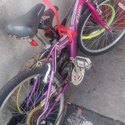 Jamis Bike 24 Inch Capri 2004 2-4 $25 Works Great 