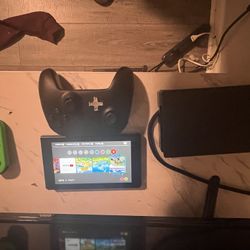 Switch Animal Crossing New Horizon Edition 