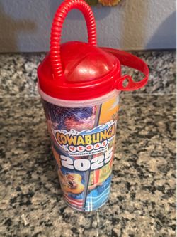 Universal Theme Park Souvenir Cup with Straw Handle – Tropical Water Park Refillable Tumbler