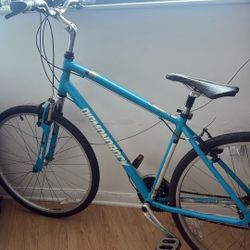 28 Inch Diamond Back Mountain Bike 