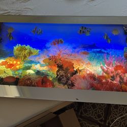 Moving Aquarium 