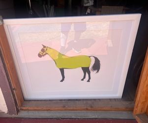 Horse 🐎 PICTURE