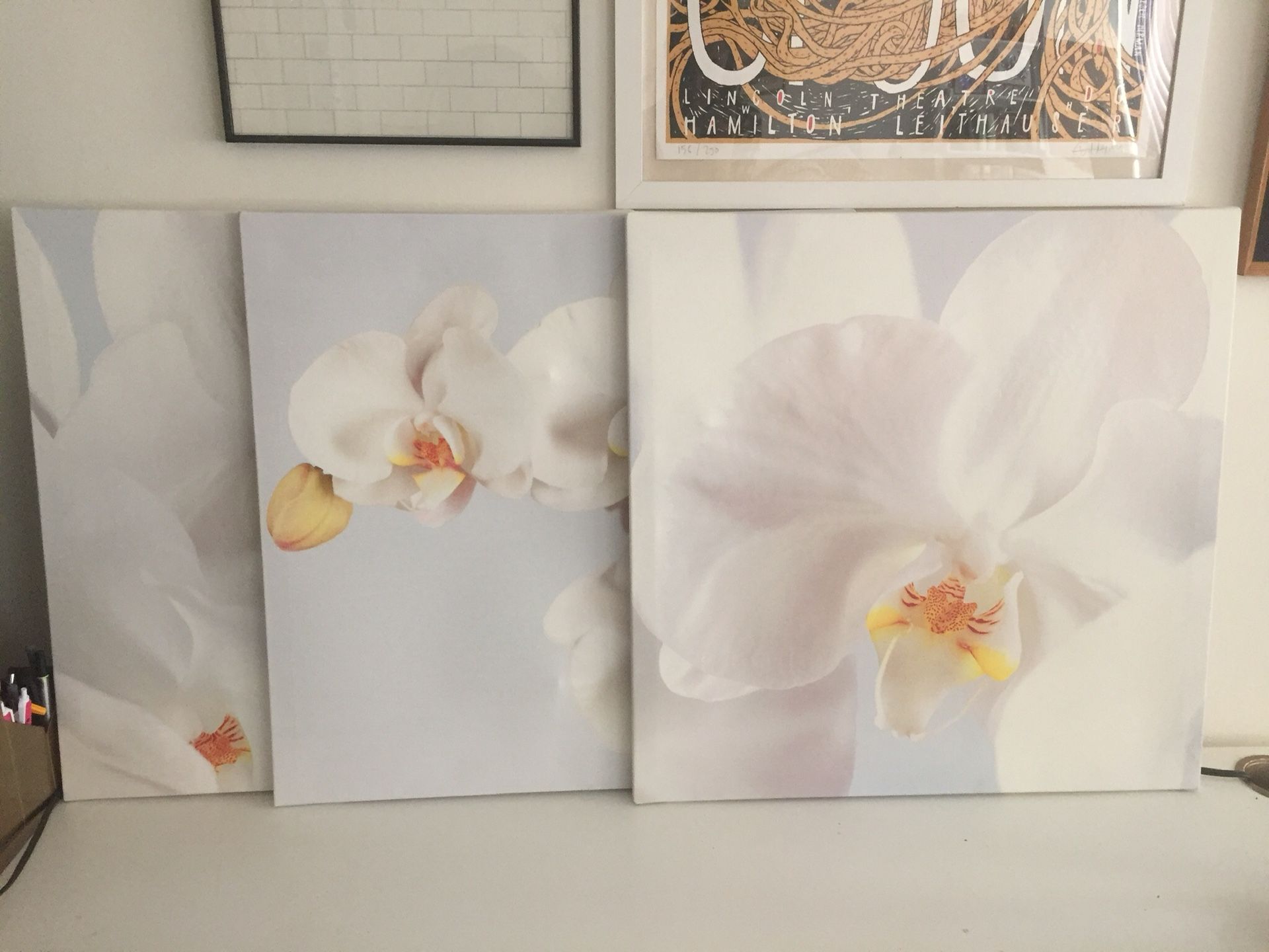 Set of 3 Orchid Flower Canvas Photos Wall Art