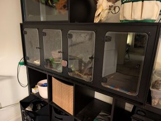 Aquarium