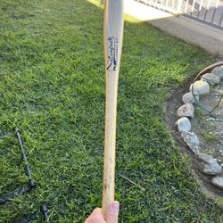 Lindsey Baseball Bay