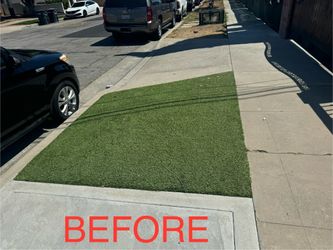 Artificial Turf Cleaning 