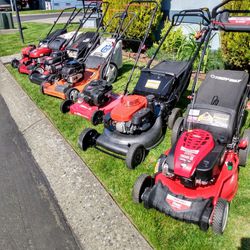 Push And Self Propelled Lawnmowers (Lawn Mowers)