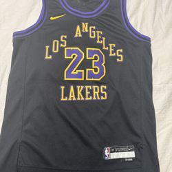 Youth Lakers LeBron James Jersey