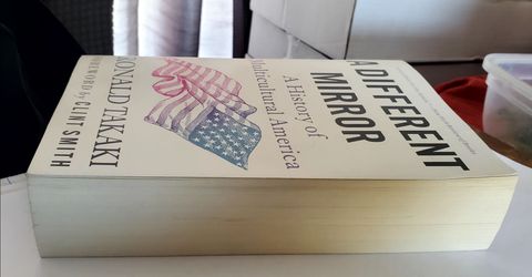 A DIFFERENT MIRROR: A History of Multicutural America by Ronald Takaki
