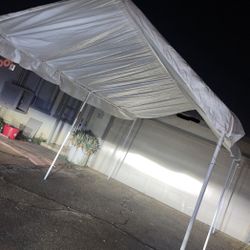 Canopy 
