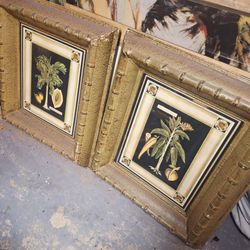 2 Large Tropical Framed Pictures