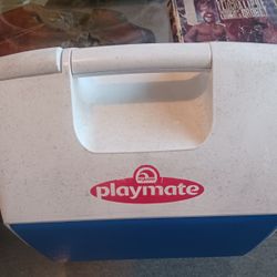 Lonchera/hielera Chica De Plastico. Playmate Small, Plastic Cooler.