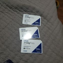 Cota Bus 31day Pass 