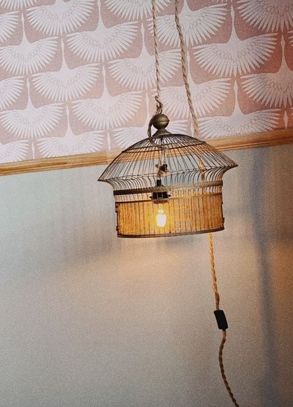 Vintage Birdcage Ceiling Lamp With Rope Chord