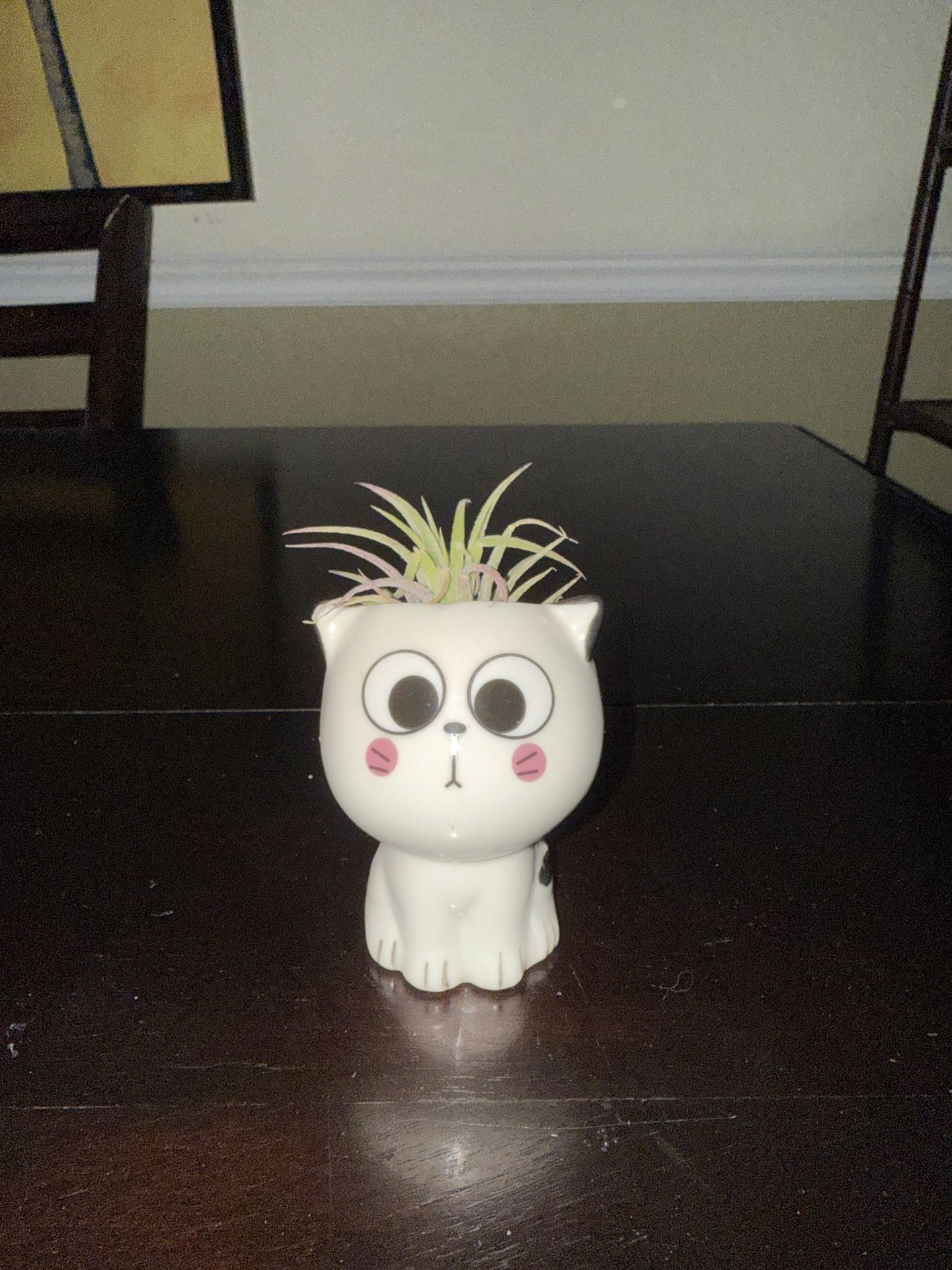Small Cat Vase Planter Pot With Air Plant