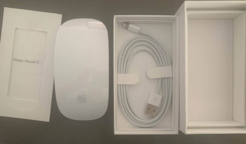 Magic Mouse 2