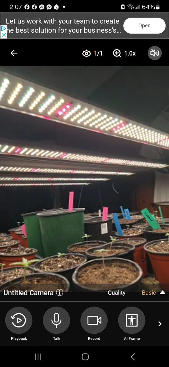 Led Grow Lights And Other Grow Equipment