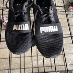 Pumas