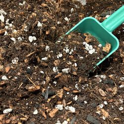 Riddick’s Premium Aroid Potting Mix