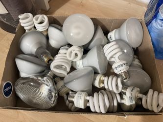Assorted Light Bulbs 
