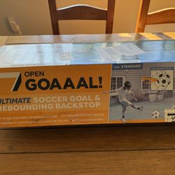 Soccer Goal and Rebounding Backstop