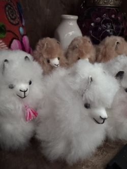 Baby Llama Key Chains