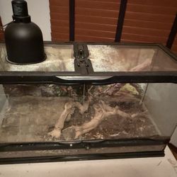 Reptihabitat Snake Enclosure