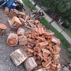 Firewood for cheap 15$