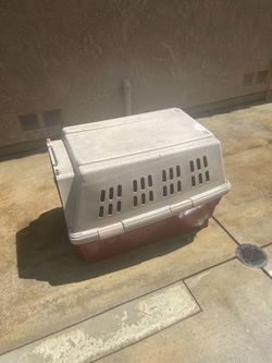 FREE DOG CRATE.