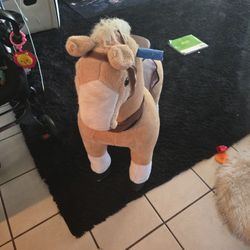 Pony Rider