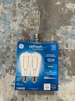 GE Edison Style LED Bulbs ST19 Daylight (2-Pack)