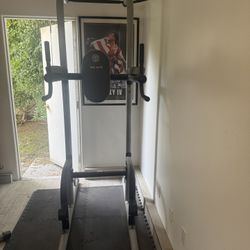 Golds pull up/ab tower