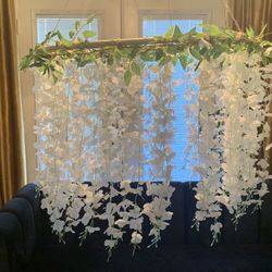 Wisteria Hanging Flowers