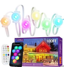 Permanent Outdoor Lights