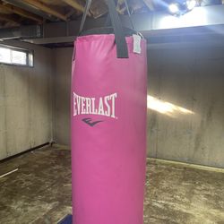 Pink Punching Bag 