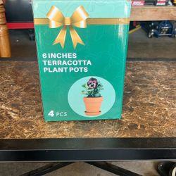 6. Inch Terracotta Pots