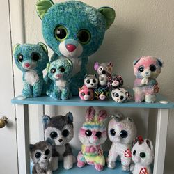 Beanie Boo Collection