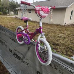 Disney Princess Huffy Girls Bike Brand New