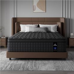 12" New Hyrid Mattress 