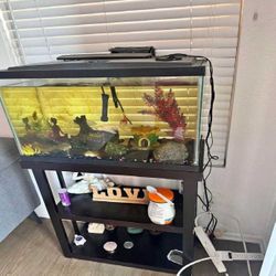 Complete Aquarium Kit – Explore an Underwater Wonderland reflect quickly