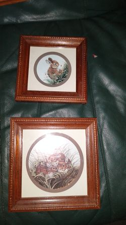 2 small bunny pictures