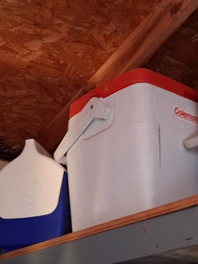 Medium size coleman cooler