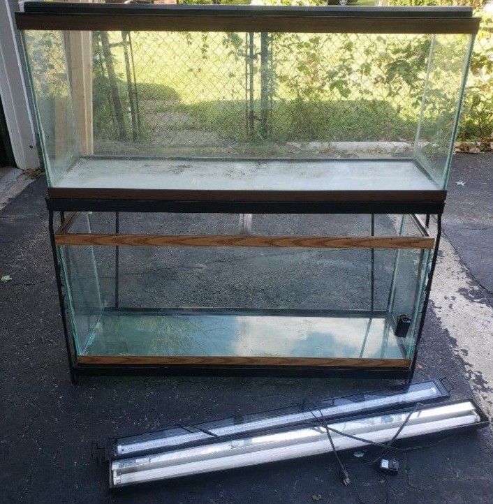 (2) 55 Gallon Aquariums, Stand, Lights