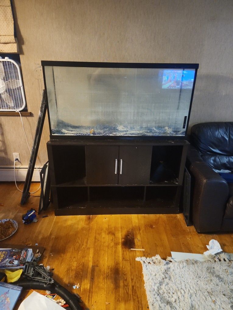 Full Fish Tank Set Up