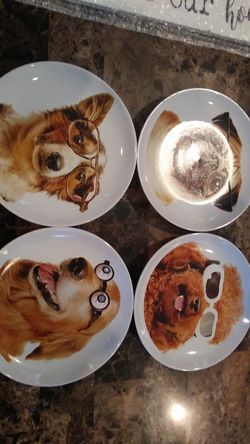 Silly dog plate set